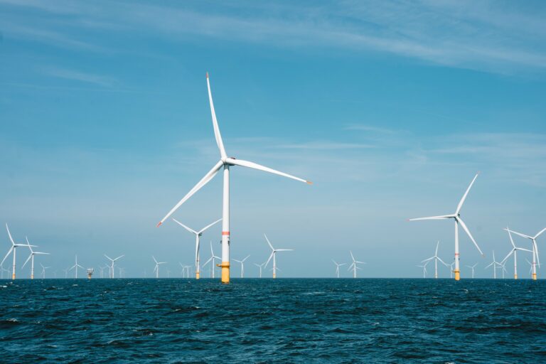 Surveillance des parcs éoliens avec les sondeurs scientifiques
