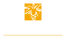 Le système « plug and play » BALI pour informer et surveiller les ports de la ville d’Hyères