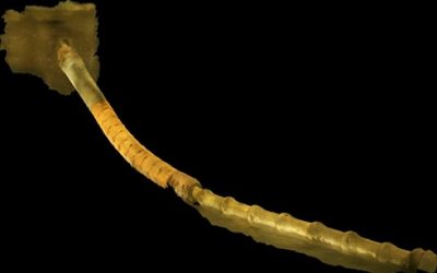 Camera-photogrammetrie-sous-marine-Voyis-tuyau