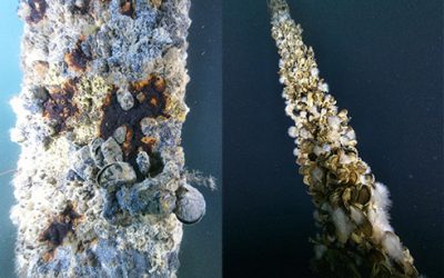 Voyis-underwater-photogrammetry-system-cord