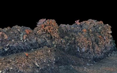 Voyis-underwater-photogrammetry-system-galapagos