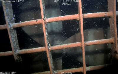 rov-chasing-inspection-helice